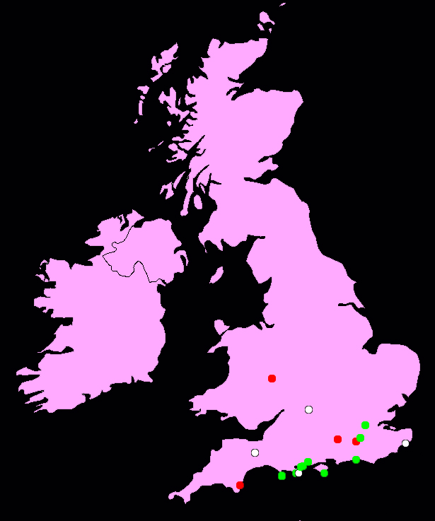 National wall lizard distribution